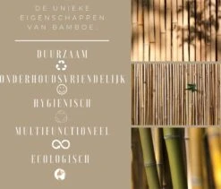 Snijplanken Hout - Bamboe - Set Duurzaam - Serveerplank - Snijplank - 38x28cm & 33x23,5cm - Keuken -Merkloos Winkel 1200x1025 4