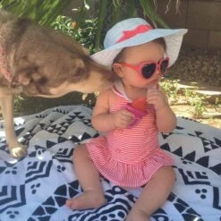 Nûby - Ijslolly Vormpjes -Merkloos Winkel 1200x1198 76