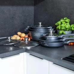 Herenthal Pannenset Inductie - Luxe 10-Delige Pannenset - Kookpotten Voor Alle Warmtebronnen - Kookpan - Pan Inductie Met Glazen Deksels En Koudgrepen - Grijs -Merkloos Winkel 1200x1200 1010