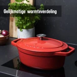 Daumonet Bocuse Rouge Gietijzeren Braadpan - Sudderpan Kersen Rood - Ovaal - Ø 29 Cm - 3 Liter - PFAS & PFOA Vrij - Emaille - Geschikt Voor Alle Warmtebronnen - Elektrisch - Gas - Halogeen - Inductie - Keramisch - Vaatwasserbestendig 15 Daumonet Bocuse Rouge Gietijzeren Braadpan - Sudderpan Kersen Rood - Ovaal - Ø 29 Cm - 3 Liter - PFAS & PFOA Vrij - Emaille - Geschikt Voor Alle Warmtebronnen - Elektrisch - Gas - Halogeen - Inductie - Keramisch - Vaatwasserbestendig -Merkloos Winkel 1200x1200 1604