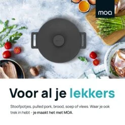MOA Gietijzeren Braadpan - Inhoud 7,1 Liter - 29CM - Rond - Alle Warmtebronnen - Ook Voor Inductie - Gewicht 7,6 Kg - Zwart - MC29B -Merkloos Winkel 1200x1200 1681
