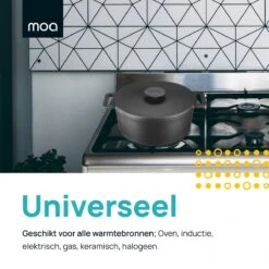 MOA Gietijzeren Braadpan - Inhoud 7,1 Liter - 29CM - Rond - Alle Warmtebronnen - Ook Voor Inductie - Gewicht 7,6 Kg - Zwart - MC29B -Merkloos Winkel 1200x1200 1684