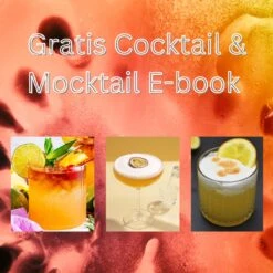 Ijsblokjesvorm- Ijsblokjesvormen- Ijsblokjesvorm Met Deksel- 4 Stuks - Silicone Onderkant- BPA Vrij- 56 Ijsblokjes- Gratis Cocktail E-book- Cocktail Ijsblokjes -Merkloos Winkel 1200x1200 3362