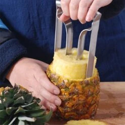 TDR-RVS- Ananasboor Ananasschiller -Professionele Ananassnijder-zilver -Merkloos Winkel 1200x1200 4194