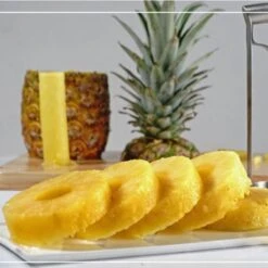 TDR-RVS- Ananasboor Ananasschiller -Professionele Ananassnijder-zilver -Merkloos Winkel 1200x1200 4197