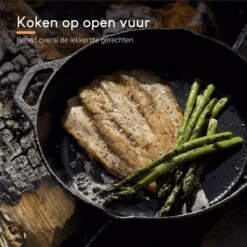 Ocina Gietijzeren Pan – ø30,5cm - Skillet - Koekenpan – Hapjespan – Koekenpan Inductie – Koekenpannenset - Gietijzeren Pan Bbq - Gietijzer -Merkloos Winkel 1200x1200 494