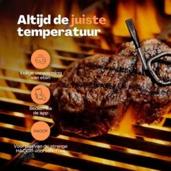 Vulpes Kitchen Vleesthermometer - BBQ - Oplaadbaar - Draadloos - Bluetooth -Merkloos Winkel 1200x1200 4994