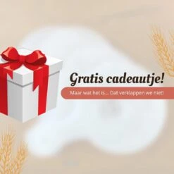 Broba Rijsmandje Brood Bakken Set – Incl. RVS Deegmesje En Deegschraper En Broodzak – Lame – Deegsteker - Bakspullen -Merkloos Winkel 1200x1200 5747