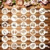 BOTC Cappuccino Sjabloon - 30 Herbruikbaar Barista Tools / Bloemen- DIY Stencil Cookie Barista Tools Voor Hot Chocolate / Cupcake / Cappuccino Decoratie - 9.7x7CM)