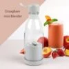 Draagbare Blender - Mini Blender - Blender To Go - Blender Smoothie - 300 ML