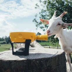 Boska Fondueset Super Cheesy - Kaasvormige Fonduepan - Vaatwasserbestendig - Geel - 1,3 L -Merkloos Winkel 1200x1200 7250