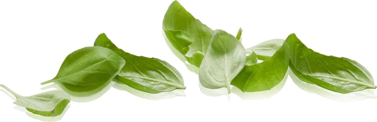 Vijzel, ø 7.7 Cm, Porselein - Gefu | GRINO 3 Vijzel, ø 7.7 Cm, Porselein - Gefu | GRINO - Afbeelding 3