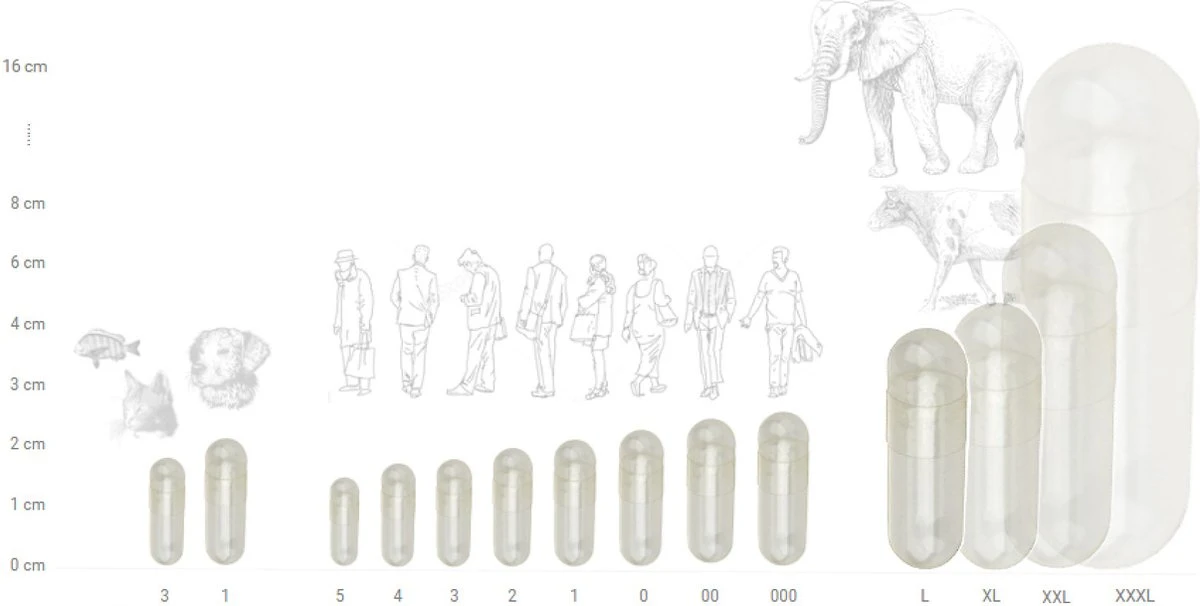 Legecapsules.com - 1000 Stuks Lege Capsules - MAAT 1 - Gelatine Capsules 1 Legecapsules.com - 1000 Stuks Lege Capsules - MAAT 1 - Gelatine Capsules