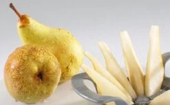 Westmark Divisorex Appel- En Perensnijder - 10-parts -Merkloos Winkel 1200x738 9