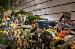 Tefal Trattoria Braadpan - Ø28 Cm - Inclusief Deksel -Merkloos Winkel 1200x799 136