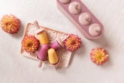 Cabau IJsjeshouder - IJslollymaker - Waterijsjes Maker - Stof- En Lekvrij - Zachte Siliconen - 4 Ijsjes - Perfect Voor De Cabau High Protein Ice Cream -Merkloos Winkel 1200x800 336