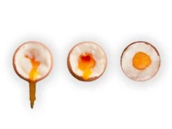 Brainstream PiepEi - Kookwekker - Rock 13 Brainstream PiepEi - Kookwekker - Rock -Merkloos Winkel 1200x900 197