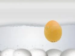 Brutus Kookt! Piepei Eierwekker - Timetravel 70´s -Merkloos Winkel 1200x900 206