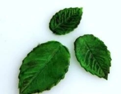 Blaadje Mal - Fondant Bladeren Versiering - Set Van 2 -Merkloos Winkel 1200x934 14