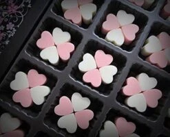 Merkloos Siliconen Bakvormen Hart - 55 Mini Hartjes - Bak Vorm - Ijsklontjes Vorm -Merkloos Winkel 1200x973 14