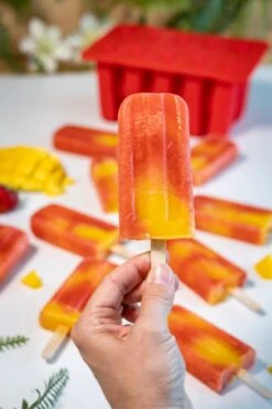 Sareva IJsjesmaker - 10 Ijsjes - Rood - Siliconen -Merkloos Winkel 799x1200 34