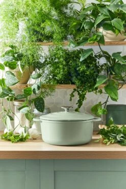 Tefal LOV Braadpan - 5L - Ø25 Cm - Groen -Merkloos Winkel 800x1200 40