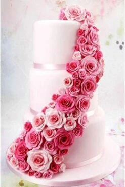 Ardran & Tookar Fondant Roos Vormer - Kunststof -Merkloos Winkel 802x1200 4