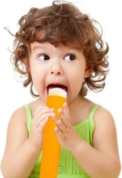 Siliconen Waterijs Vormen (Set 4 Stuks) - Icelolly Pop – IJslolly – IJsvormpje - IJsstokjes - Zelf IJs Maken – Popmaker – Ice Molds – Calippo IJs